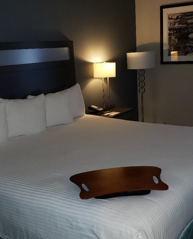 Best Western O'Hare/Elk Grove Hotel主图