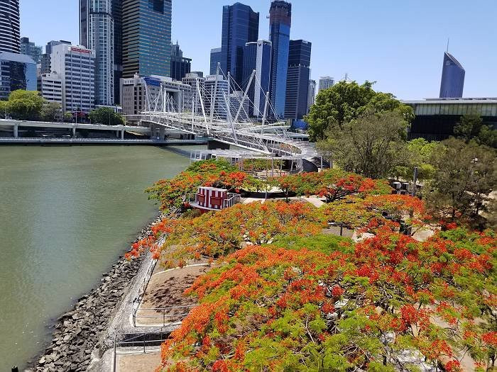 Kurilpa Bridge景点图片