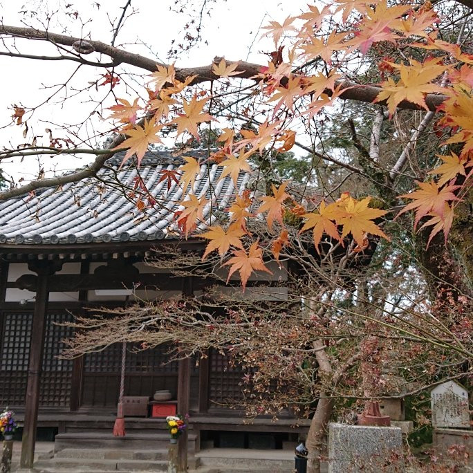 Matsuo-ji Temple-和泉市必去景点