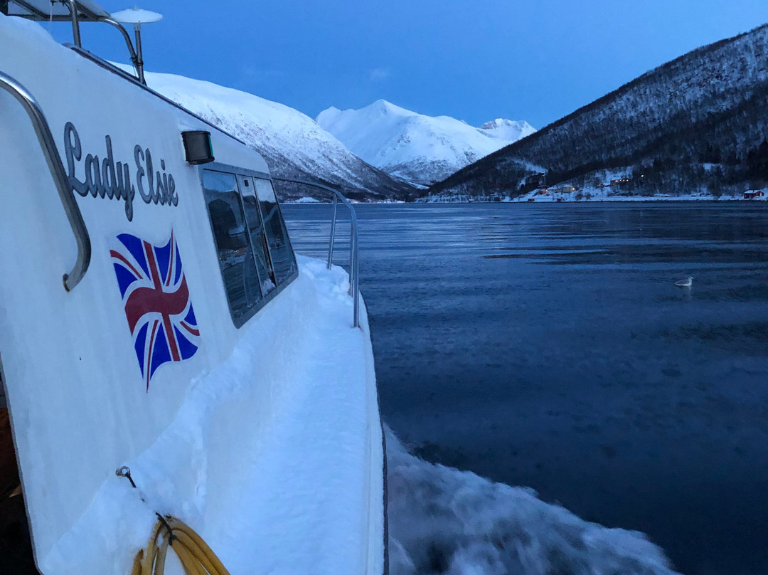 Lady Elsie Tromso - Sea fishing & Whale watching-特罗姆瑟必去景点