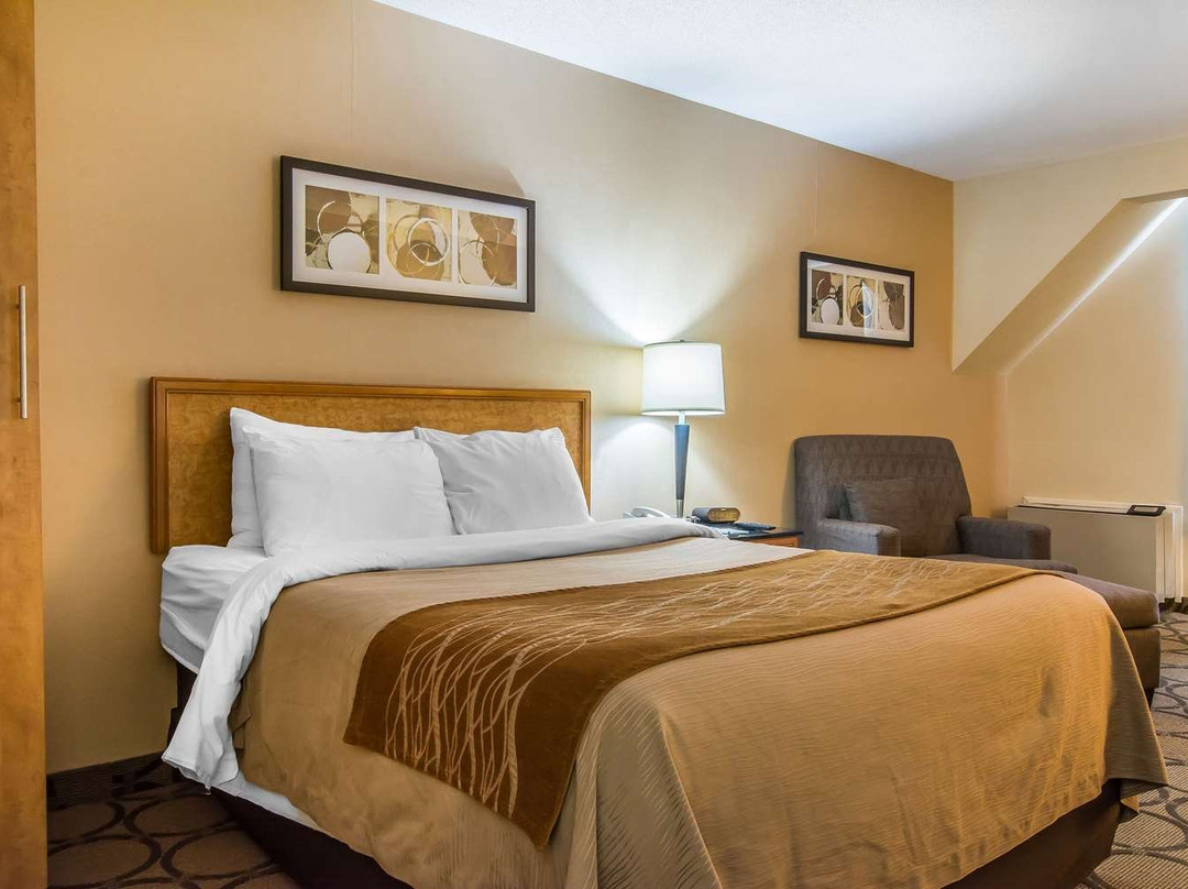 Comfort Inn Magnetic Hill主图