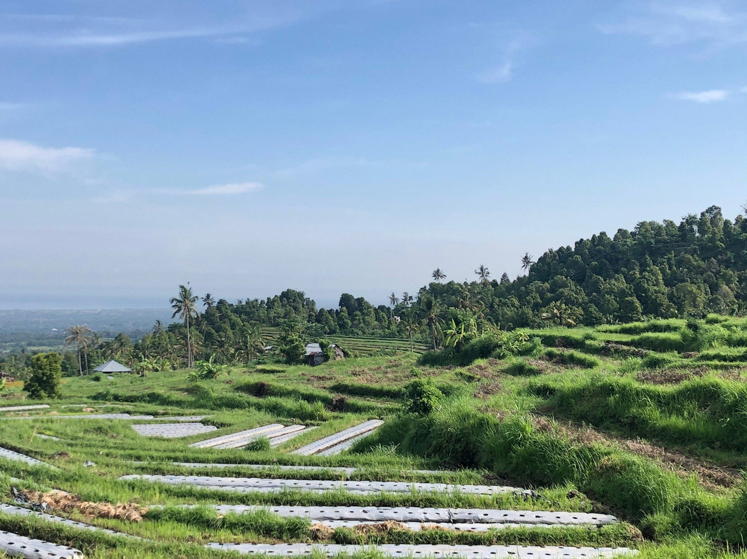 Sambangan Secret Garden景点图片