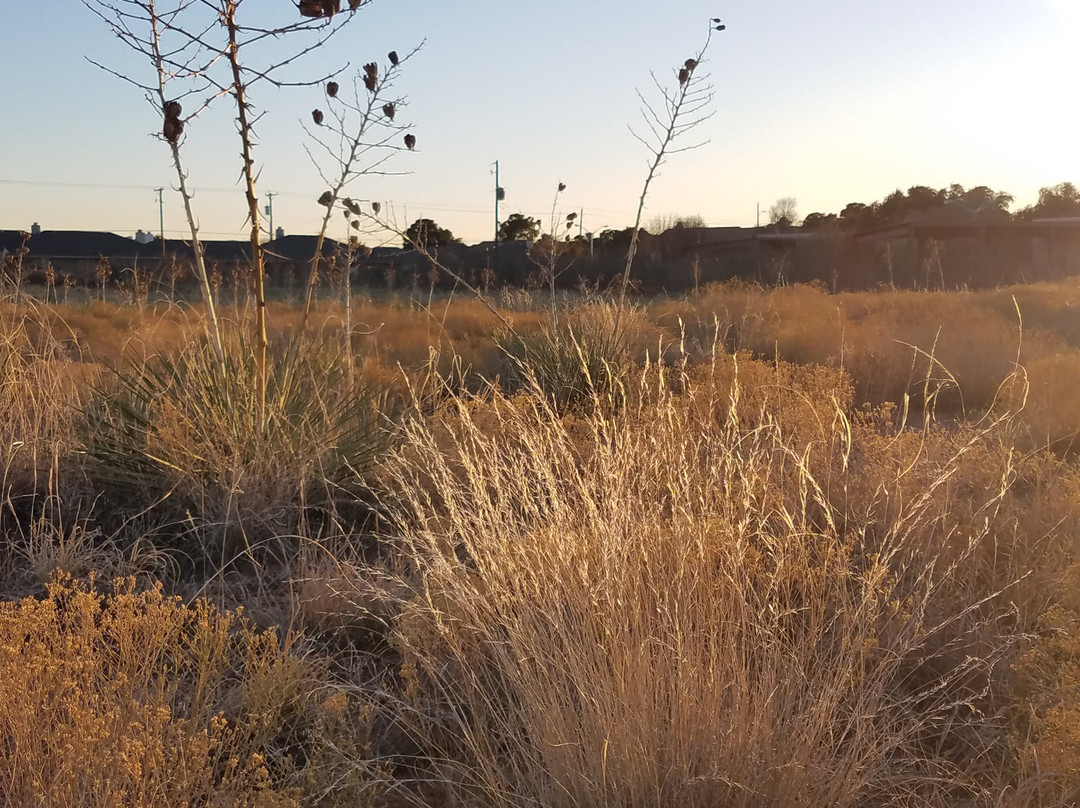 Sibley Nature Center景点图片