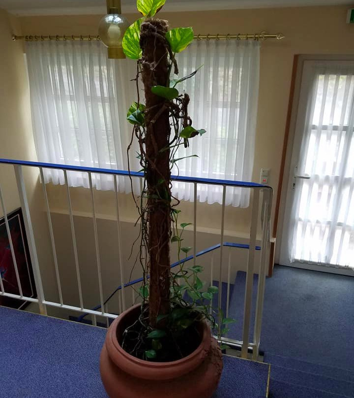 Schloss Hotel Landstuhl主图