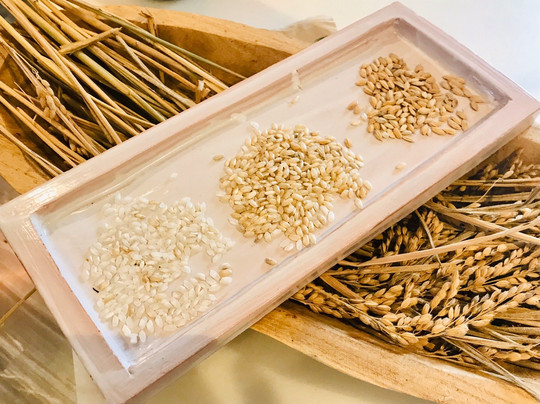 La Terraza del Cristina-塞维利亚必去景点