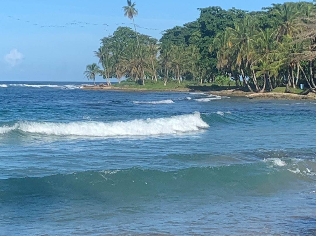 Playa Cocles景点图片