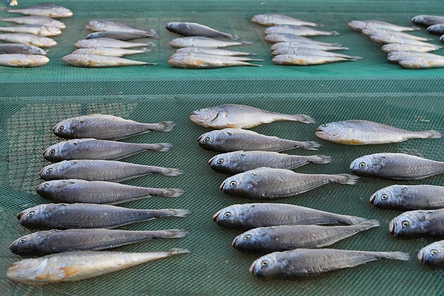 Sinan Jeotgal Town-新安郡必去景点