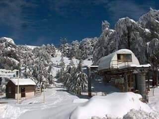Ski Club景点图片