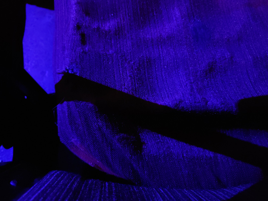 Royal Oak Music Theatre-罗亚尔奥克必去景点