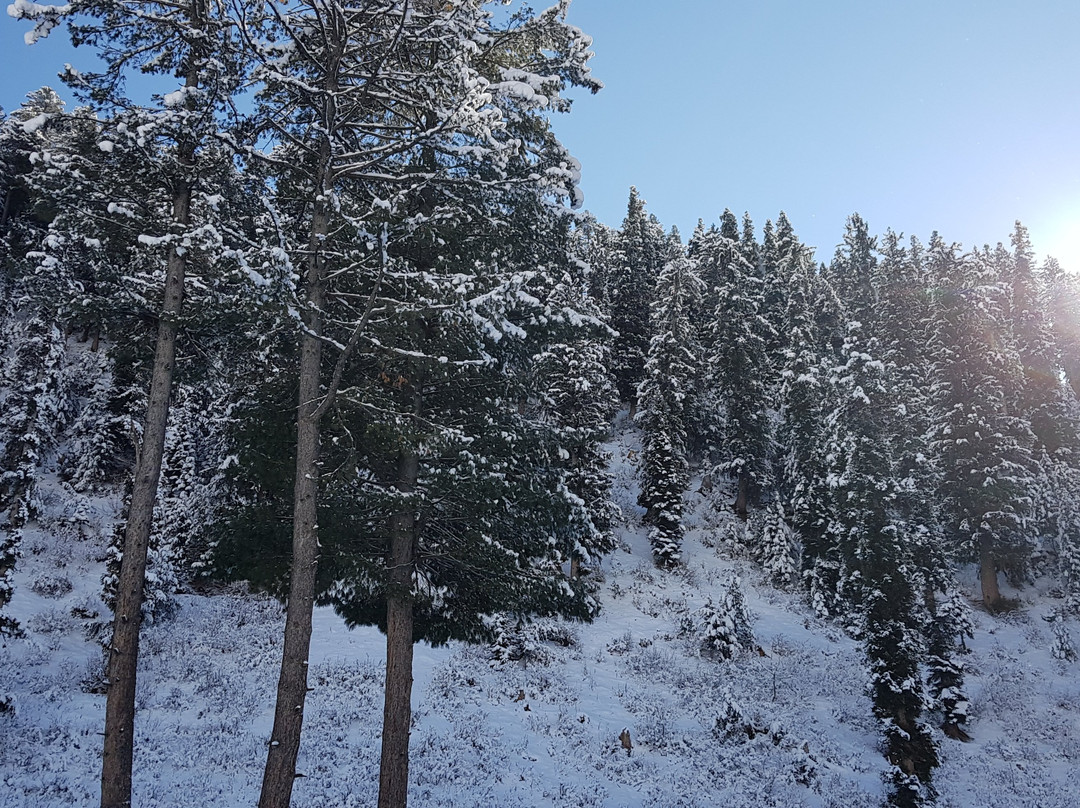 Ningle Nallah-贡马必去景点