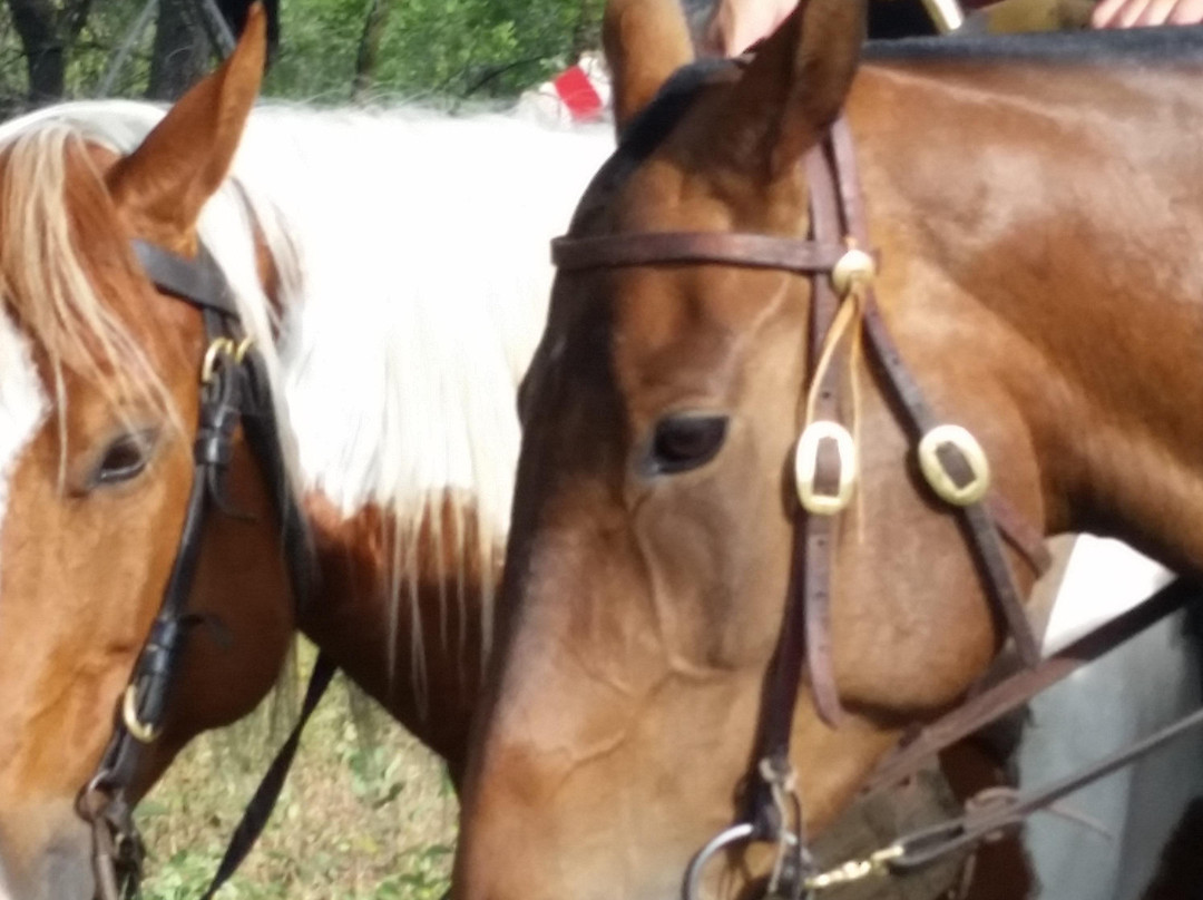 Horseback Adventures of Central Texas-Wimberley必去景点