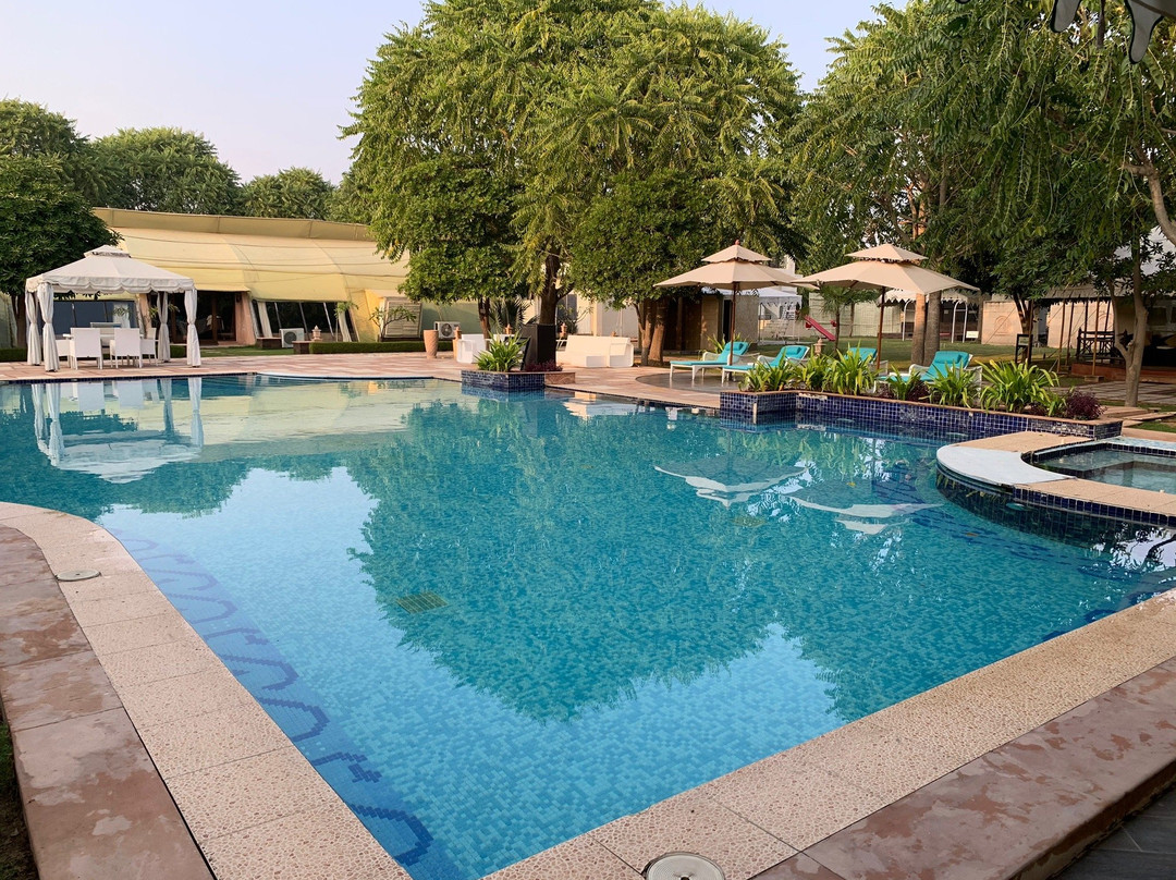 The Greenhouse Resort主图