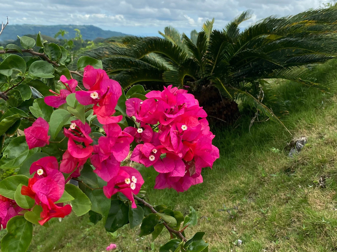 Chocolate Hills Complex主图