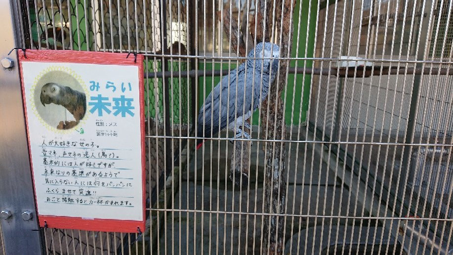 Kuragaike Park-丰田市必去景点