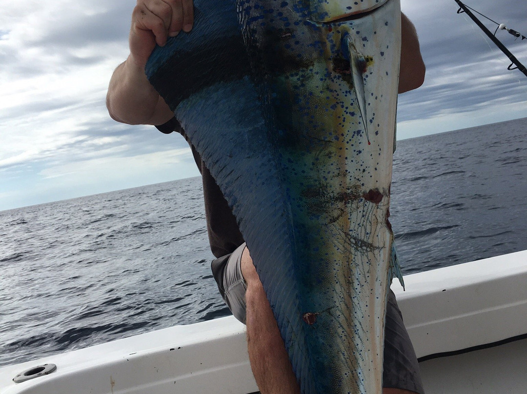 Nosara Sea Saw Tours-Garza必去景点