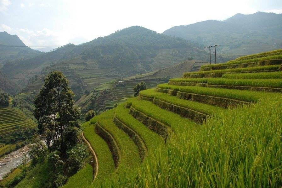 La Pan Tan-Mu Cang Chai必去景点