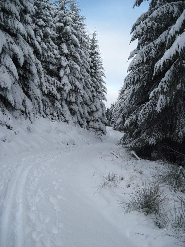 Huntly Nordic and Outdoor Centre-Huntly必去景点