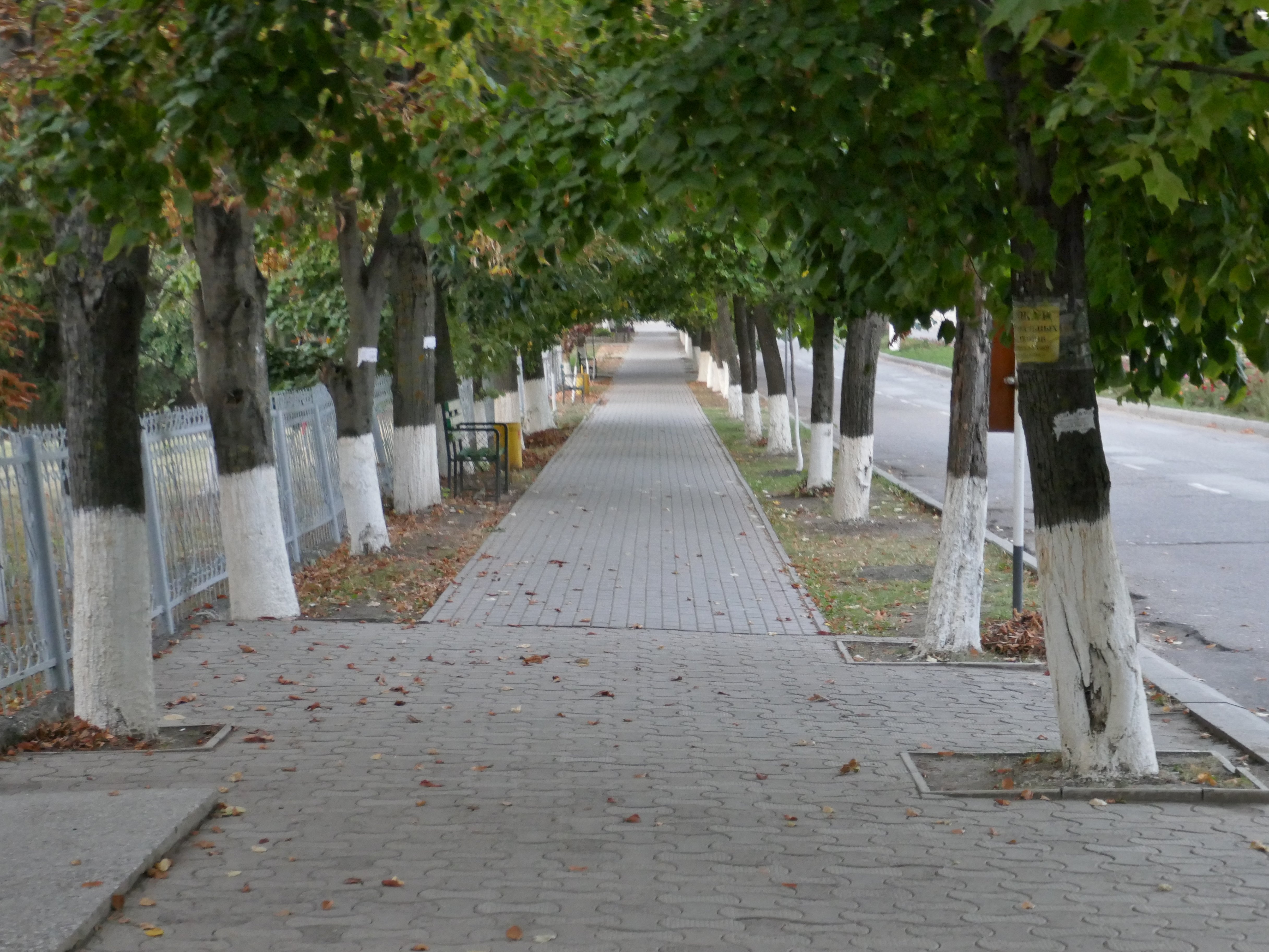 Hotel Confort Drochia-浴室