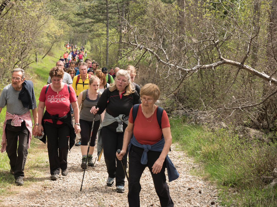 Zeliscna Kmetija Rogelja-Kostanjevica na Krasu必去景点