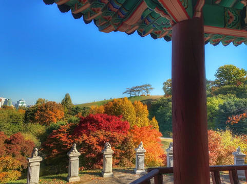 首尔奥林匹克花园酒店主图