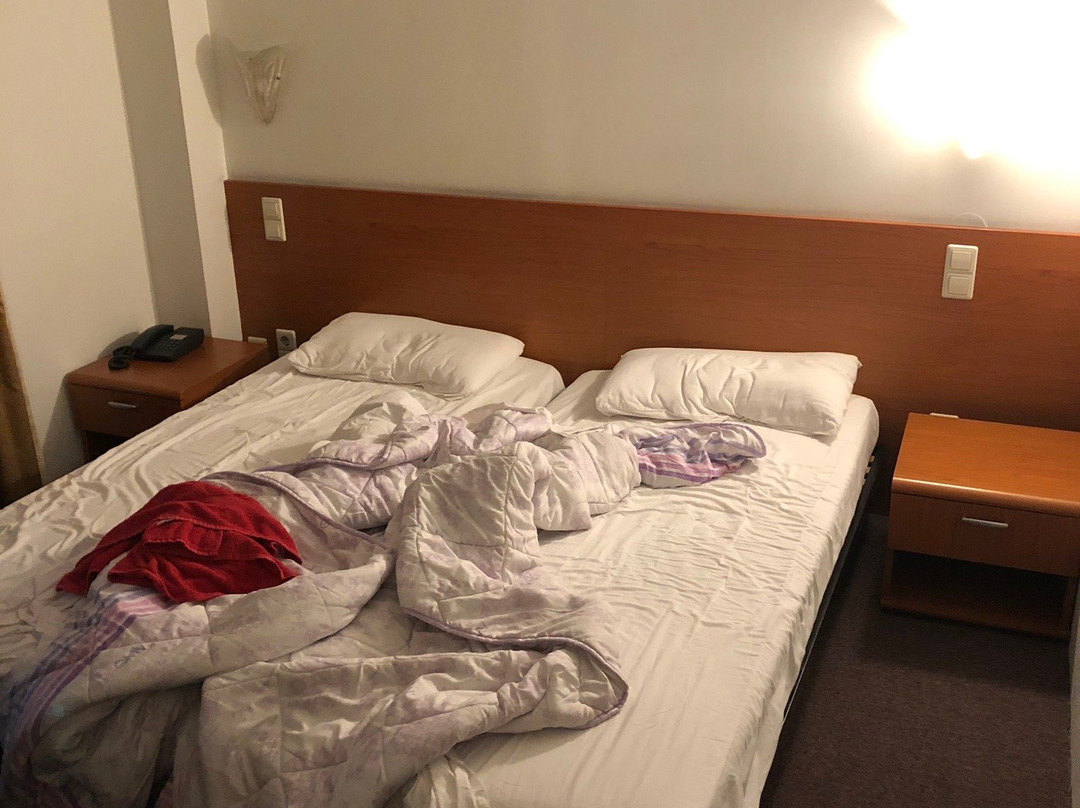 嘎基丽欧蒂主图