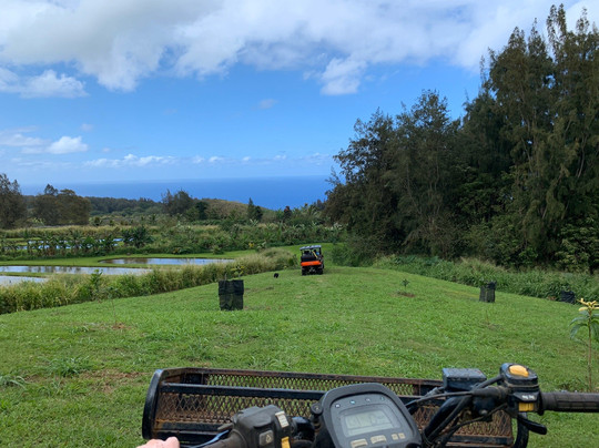 All About The View-夏威夷大岛必去景点