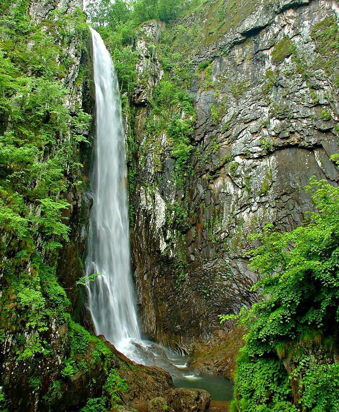 涅墨西斯酒店主图
