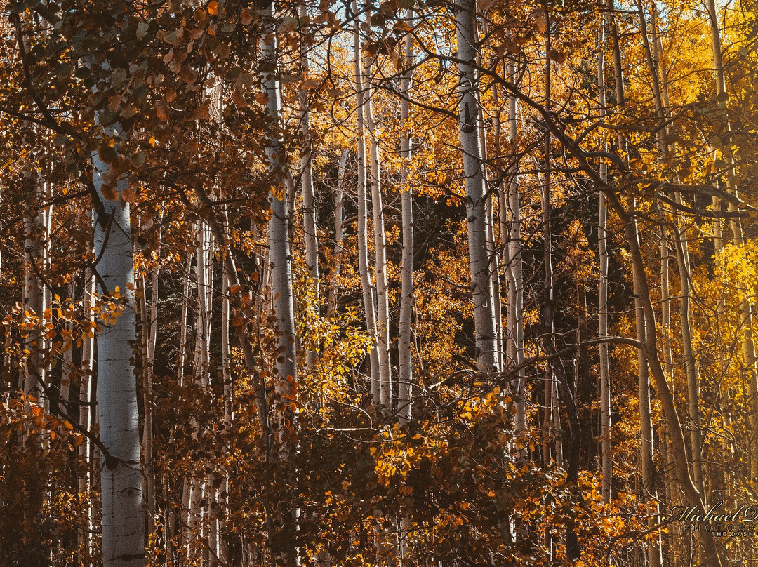 San Isabel National Forest-普韦布洛必去景点
