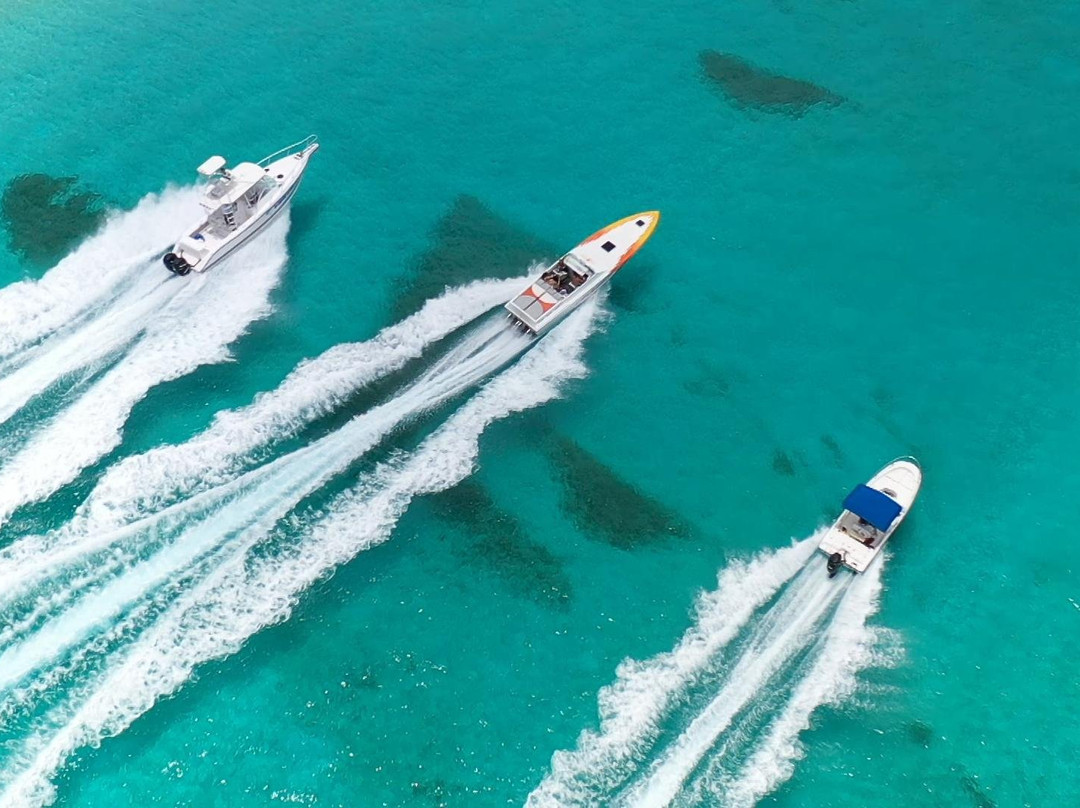 Provo Elite Charters-普罗维登西亚莱斯必去景点