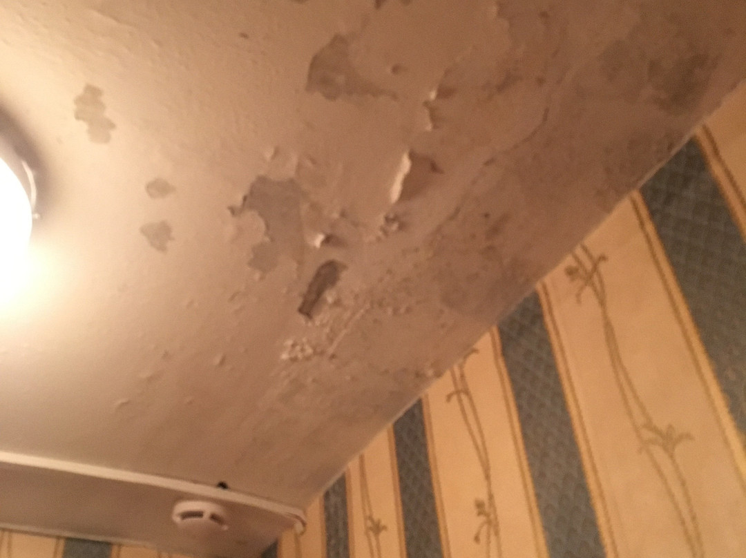 Gomel Hotel主图