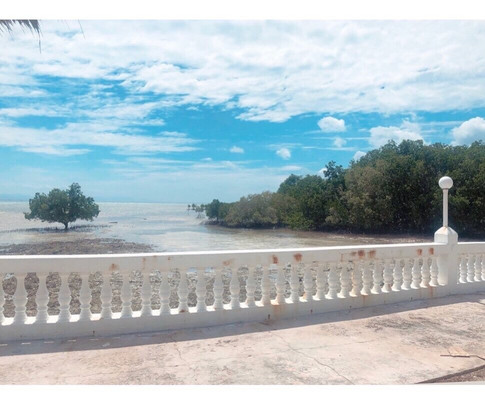 Whispering Palms Island Resort主图