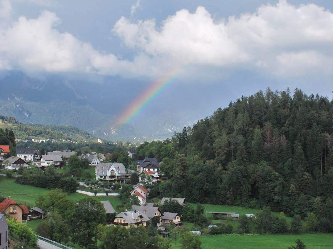 Hotel Triglav Bled主图