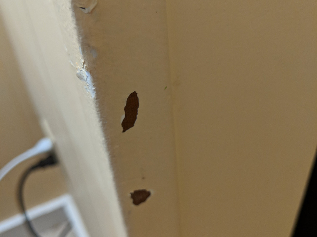 蓝色海豚旅馆主图