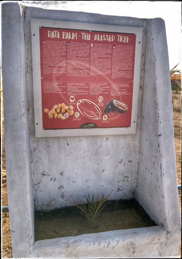 Montrigo Oasi-博阿维斯塔必去景点