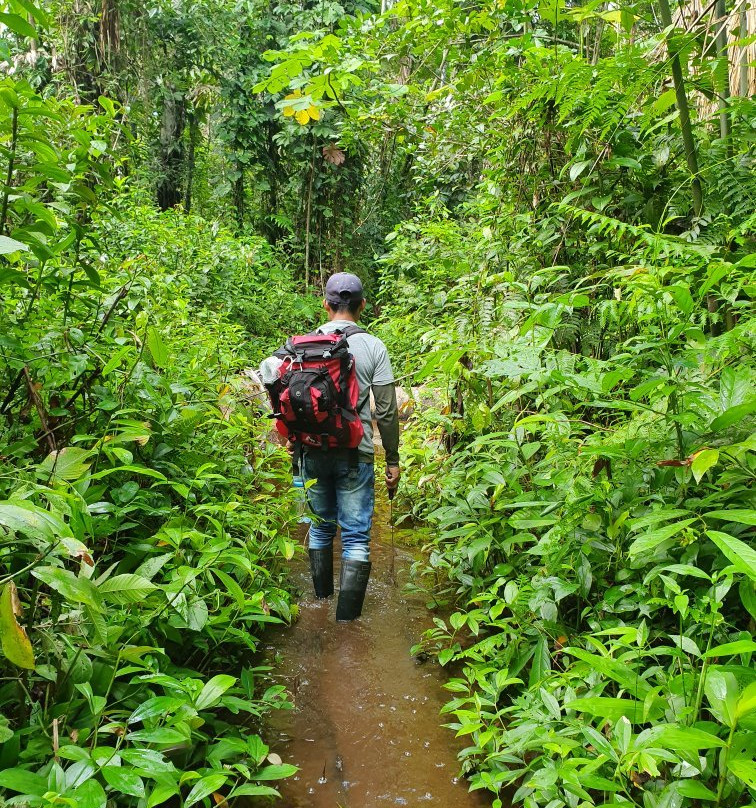 Naineku Amazon Trip Puerto Nariño景点图片