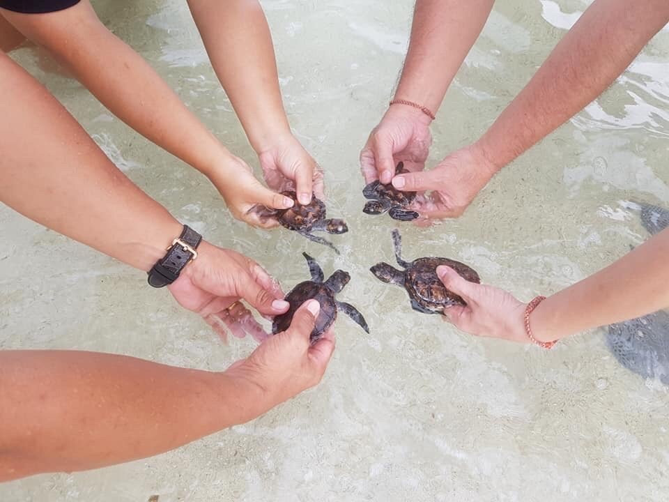 Belitung Tour-Tanjung Pandan必去景点