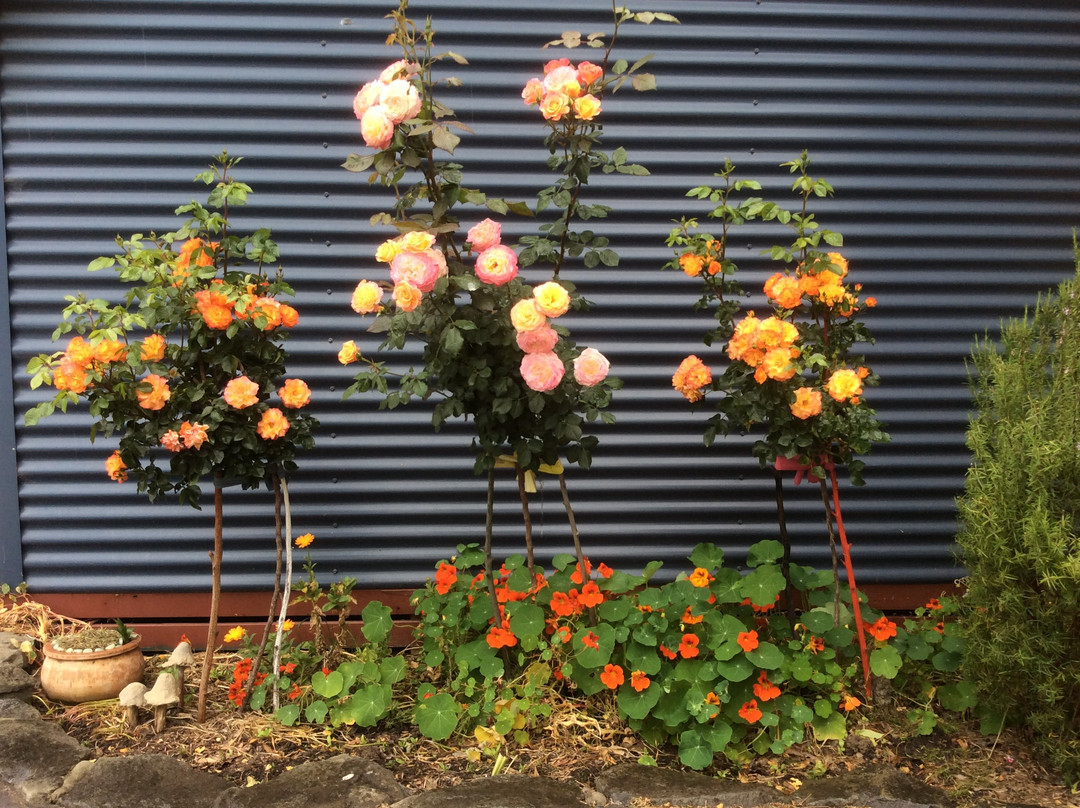 Gellibrand River Gallery-Gellibrand必去景点