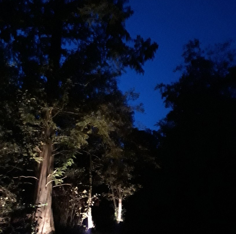 Rivierenhof-安特卫普必去景点