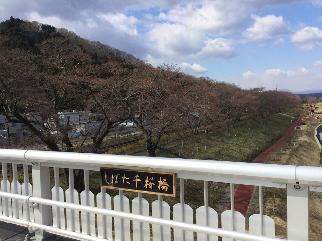 Shibata Senokyo Bridge-柴田町必去景点