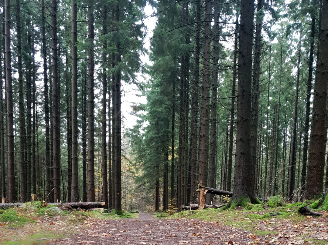 Surte酒店住宿-北欧民俗住宿加早餐酒店