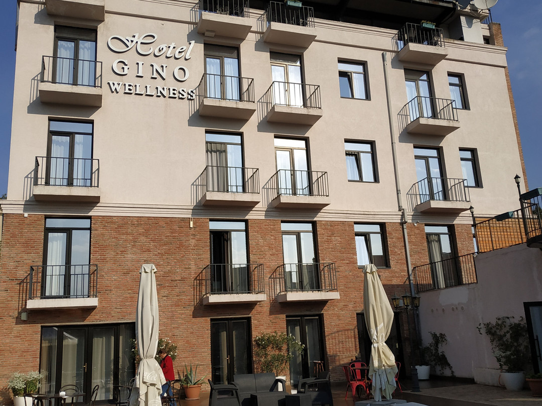Hotel Gino Wellness Mtskheta主图