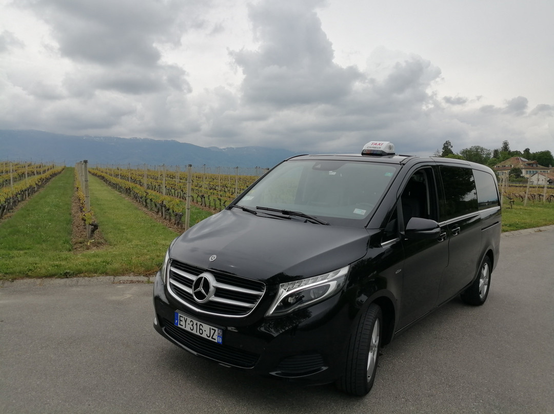 Satigny旅游攻略图片
