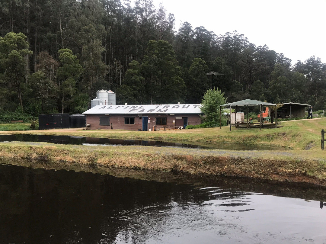 Alpine Trout Farm-Noojee必去景点