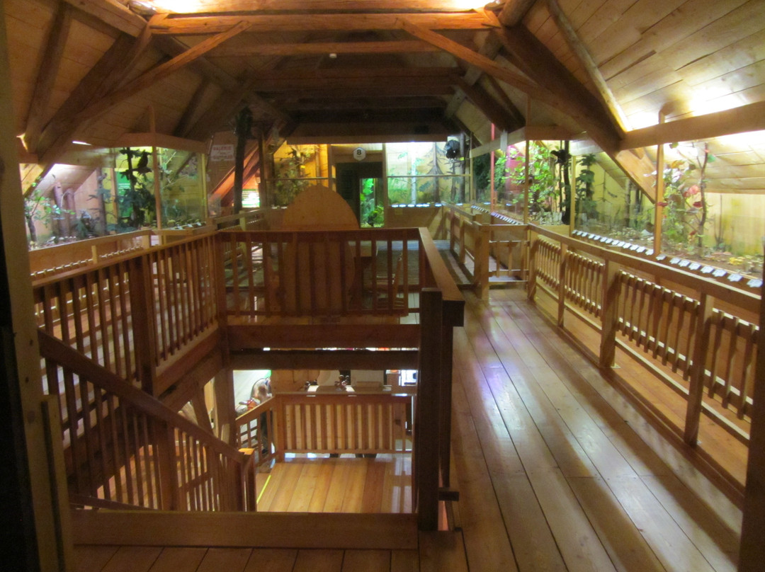 Mushroom Museum-Treffen必去景点