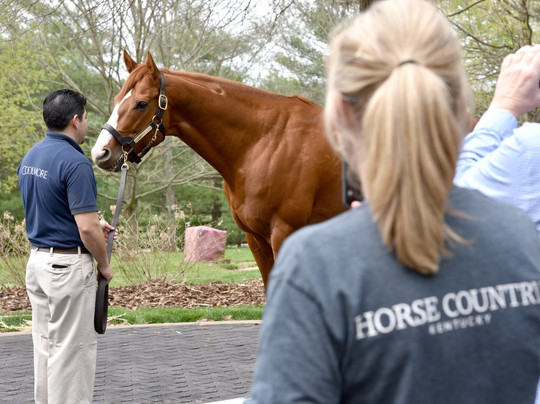 Horse Country-列克星敦必去景点