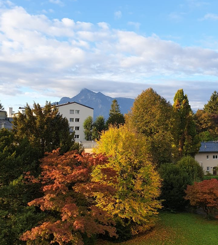 The Little Guesthouse Salzburg主图