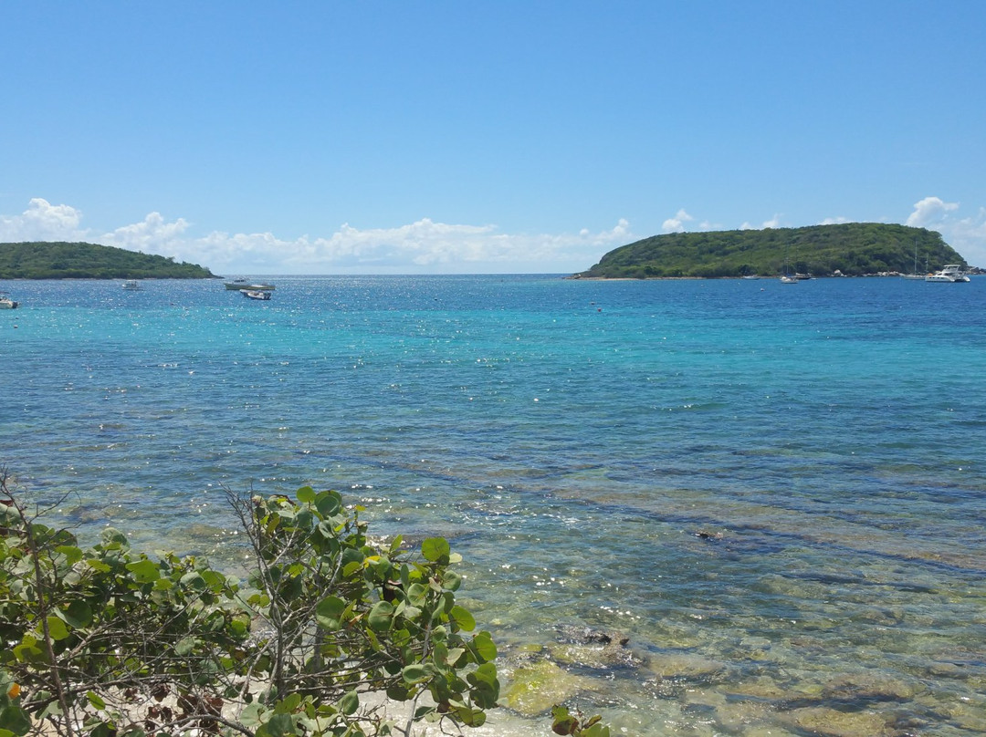 Vieques Island景点图片