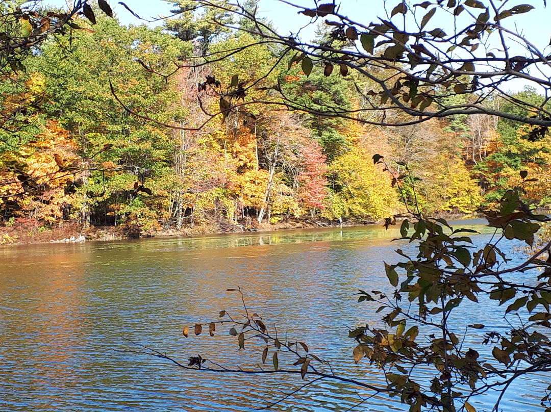 Springwater Conservation Area-Aylmer必去景点