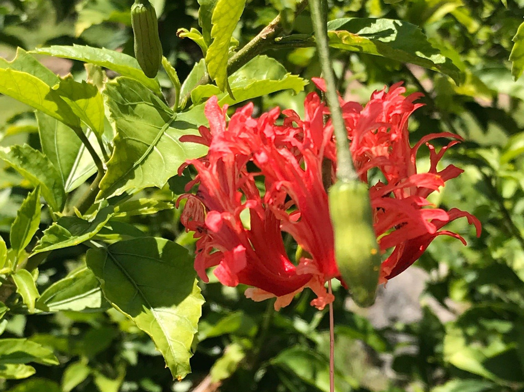 兰山-Agat必去景点