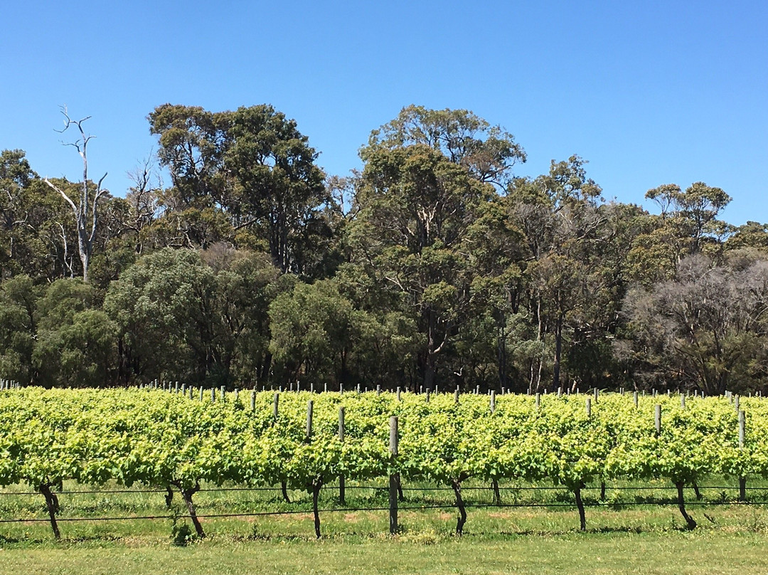 Margaret River Winemakers景点图片